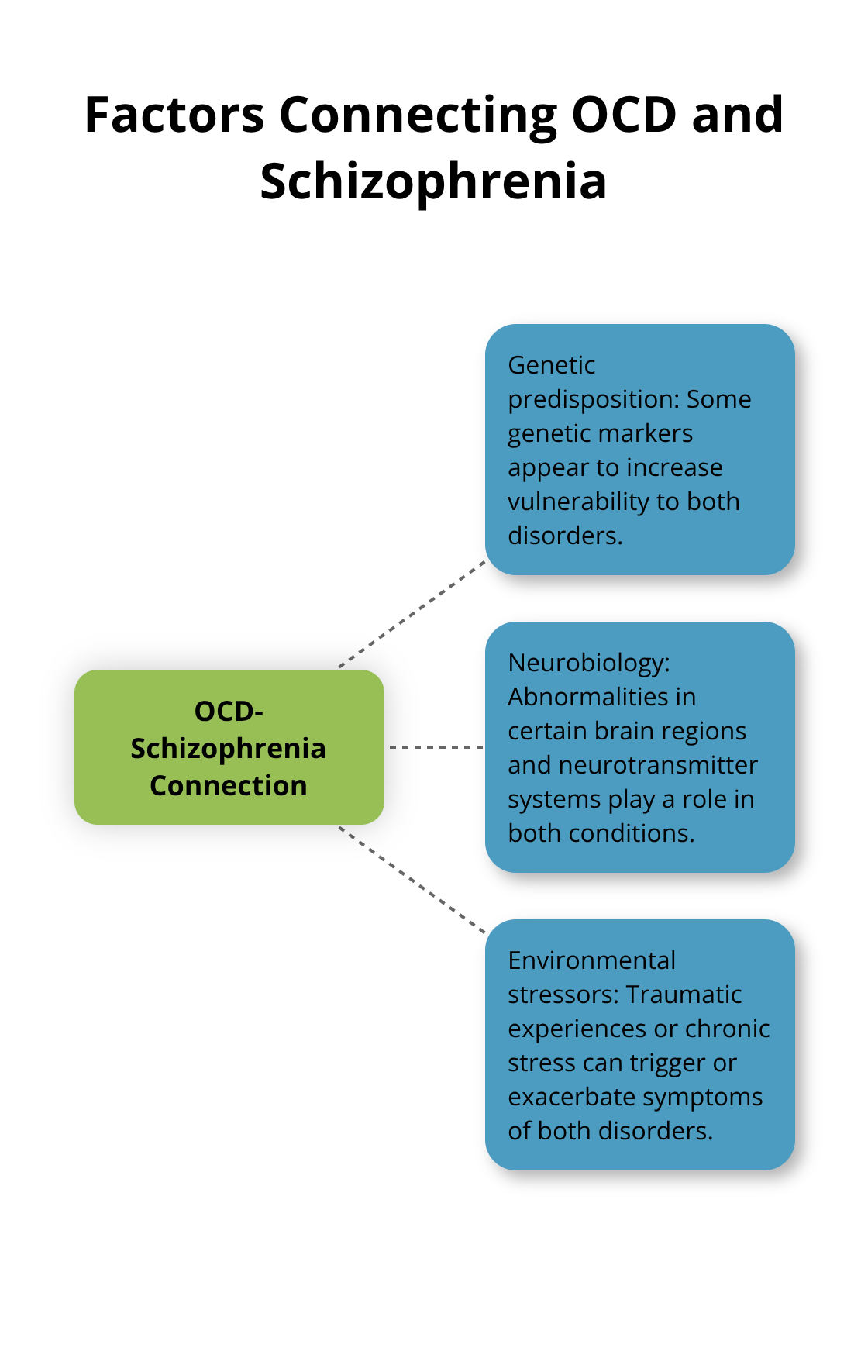Hub and spoke chart showing factors contributing to the connection between OCD and schizophrenia: genetic predisposition, neurobiology, and environmental stressors.